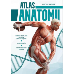 Atlas anatomii