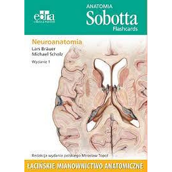 Anatomia Sobotta Flashcards...