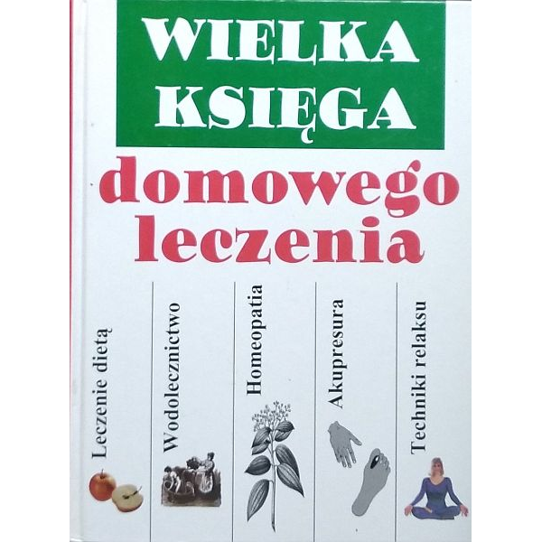 Wielka księga domowego leczenia 