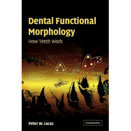 Dental Functional Morphology