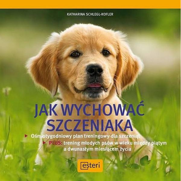 Jak wychować szczeniaka Jak wychować szczeniaka