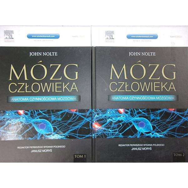 Mózg człowieka. Anatomia...