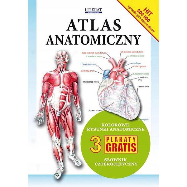 Atlas anatomiczny