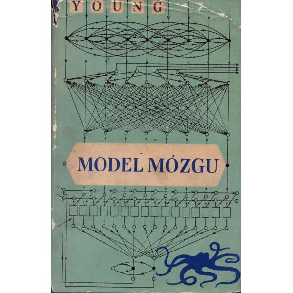 Model mózgu