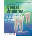 Woelfel's Dental Anatomy 9th Edition 