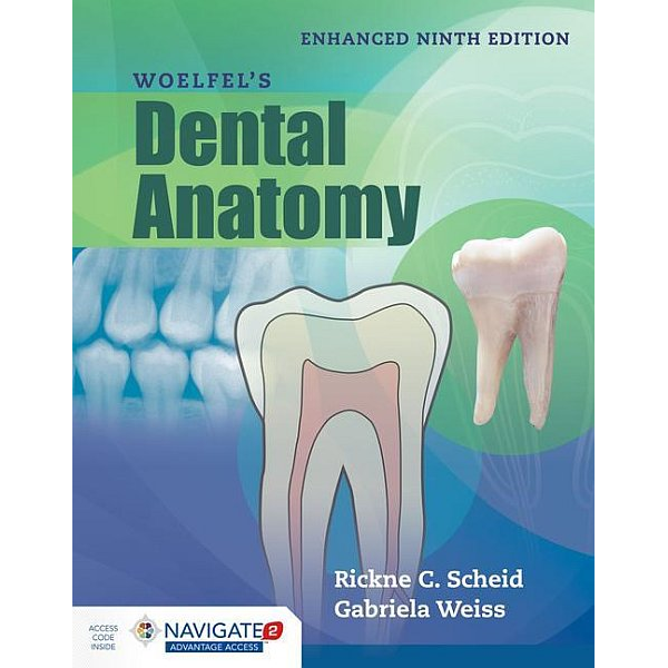 Woelfel's Dental Anatomy 9th Edition 