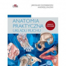 Anatomia praktyczna układu ruchu ćwiczenia