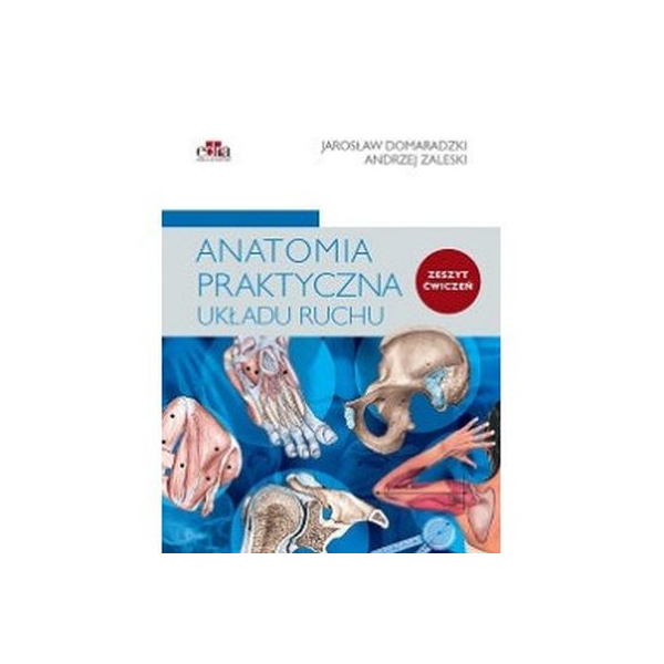 Anatomia praktyczna układu ruchu ćwiczenia