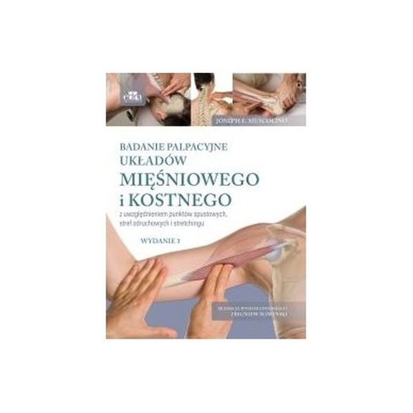 Badanie palpacyjne układów mięśniowego i kostnego z uwzględnieniem punktów spustowych stref odruchowych i stretchingu wy