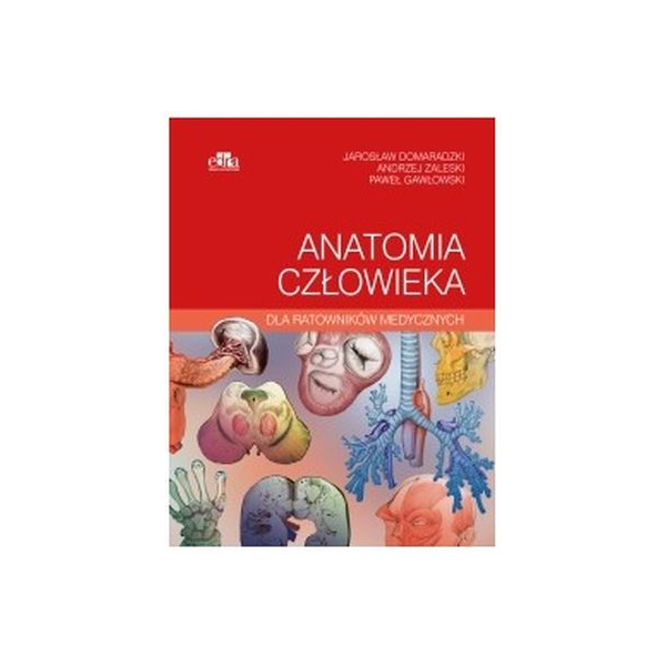 Anatomia człowieka dla ratowników medycznych