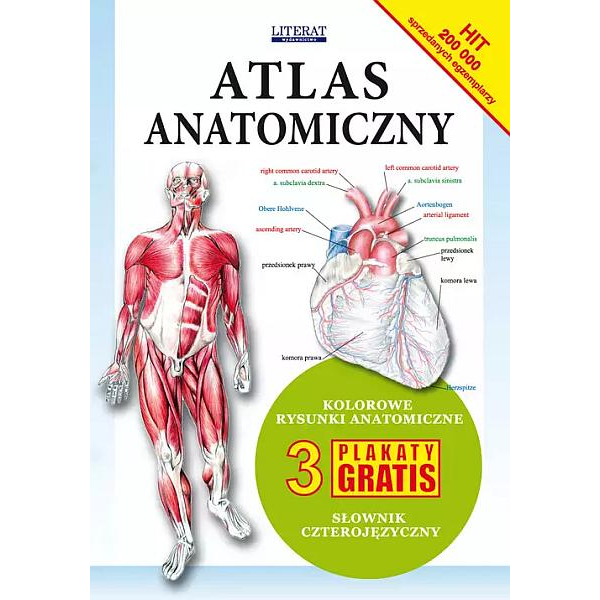 Atlas anatomiczny
