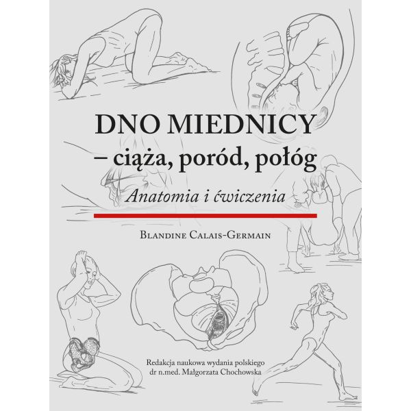 Dno miednicy - Ciąża poród...