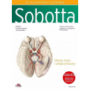 Atlas anatomii człowieka Sobotta. Głowa, szyja i układ nerwowy mianownictwo angielskie t.3