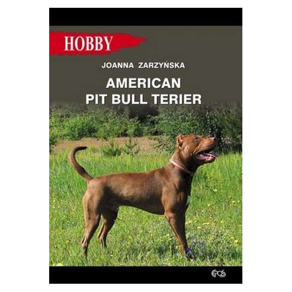 American Pit Bull Terier