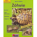 Żółwie