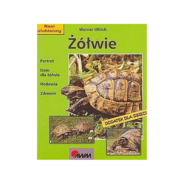 Żółwie